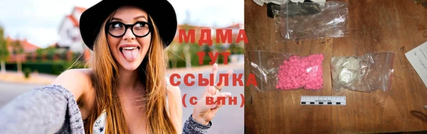 шишки Бородино