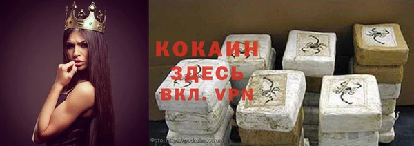 индика Инта