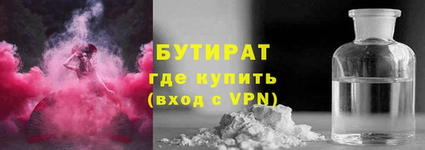 шишки Бородино