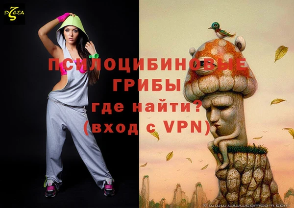 шишки Бородино
