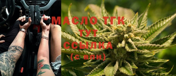 шишки Бородино