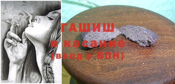 шишки Бородино