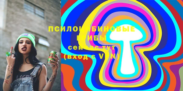 apvp Бронницы
