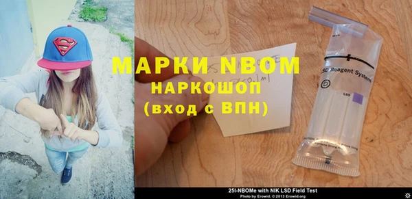 шишки Бородино