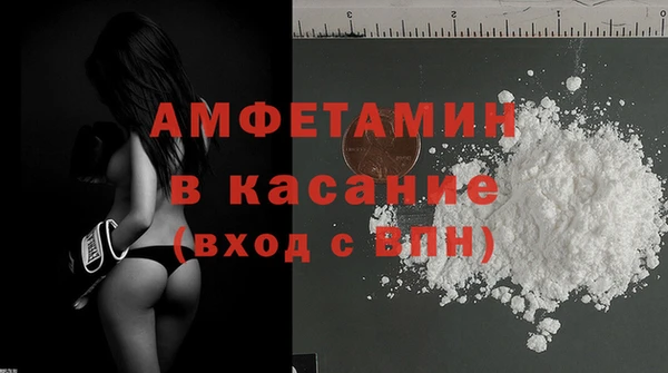 шишки Бородино