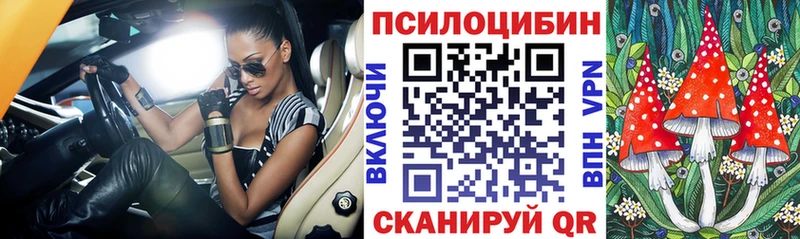 хочу наркоту  Вилючинск  Галлюциногенные грибы Psilocybe 